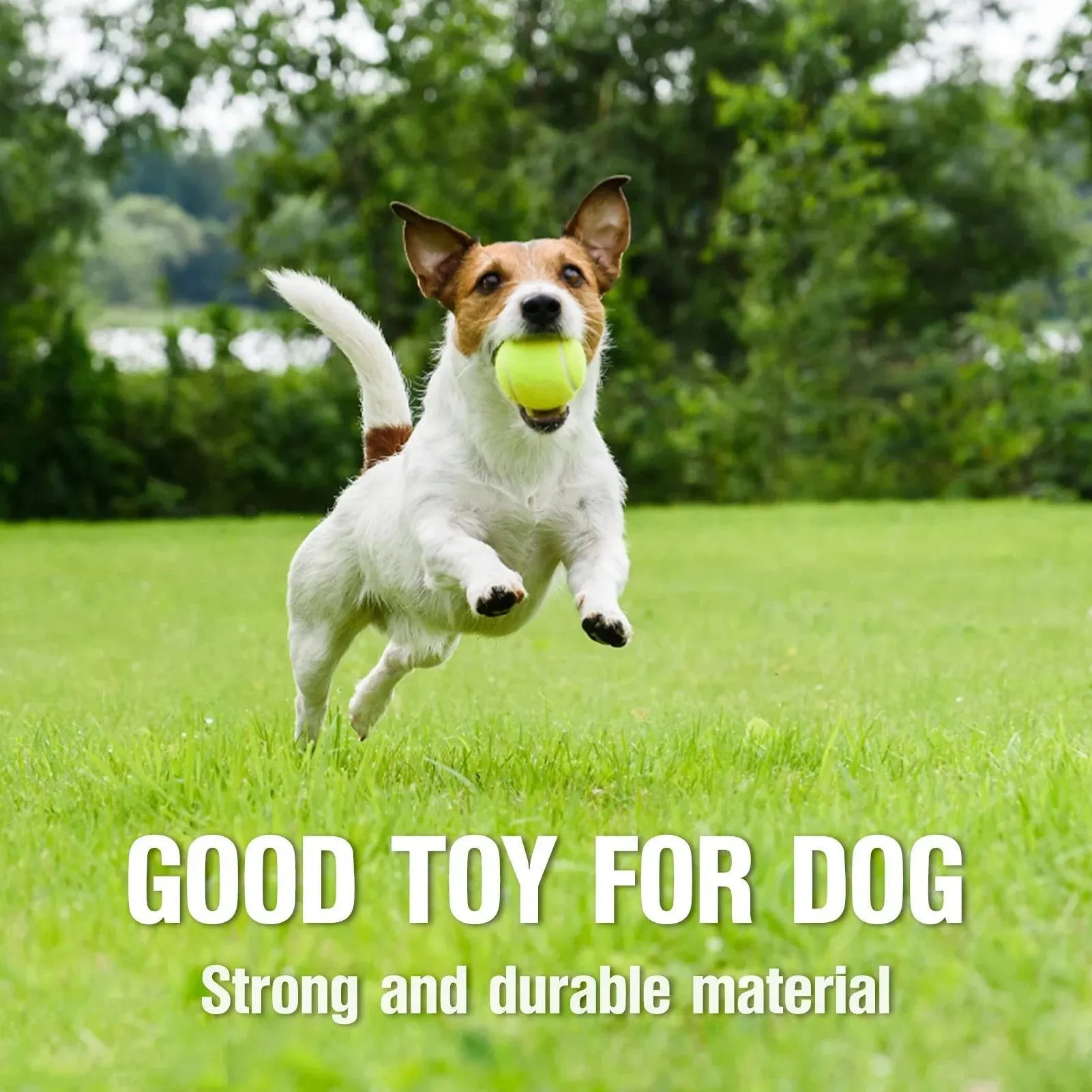 12 Packs Pressure Matching and Training Tennis Balls Natural Rubber Tennis Balls