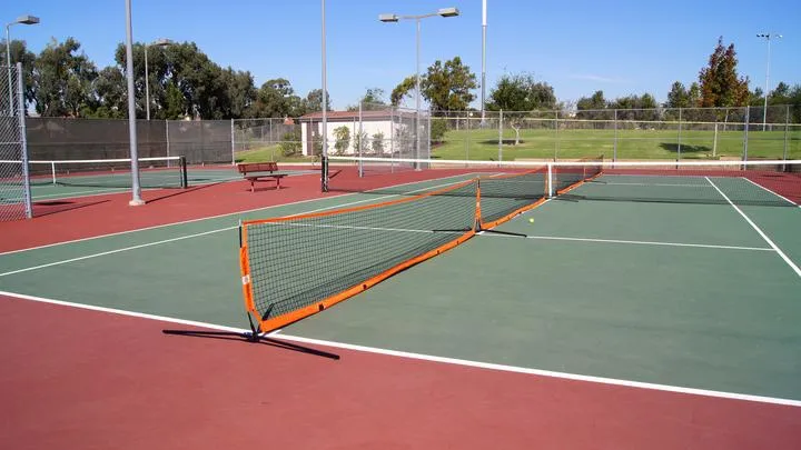 3' x 12' Bownet Portable Field Barrier