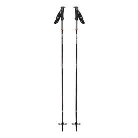 Black Diamond Carbon Compactor Poles 2023