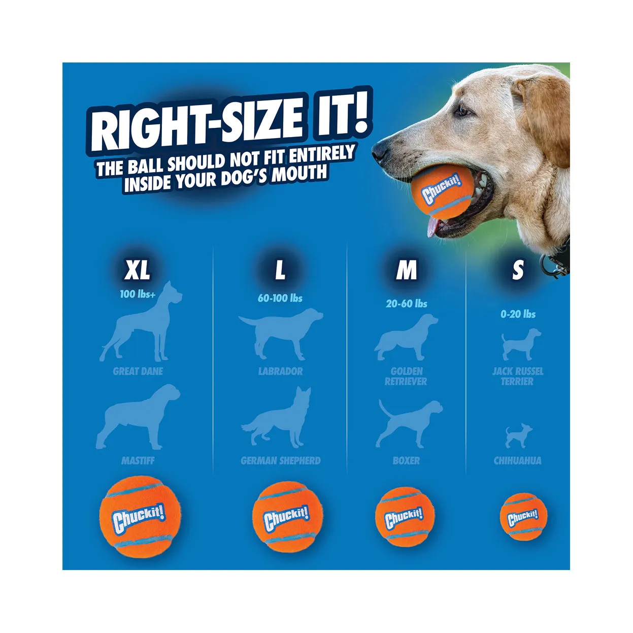 Chuckit! Tennis Balls Small - 2 Pack (Sleeve)