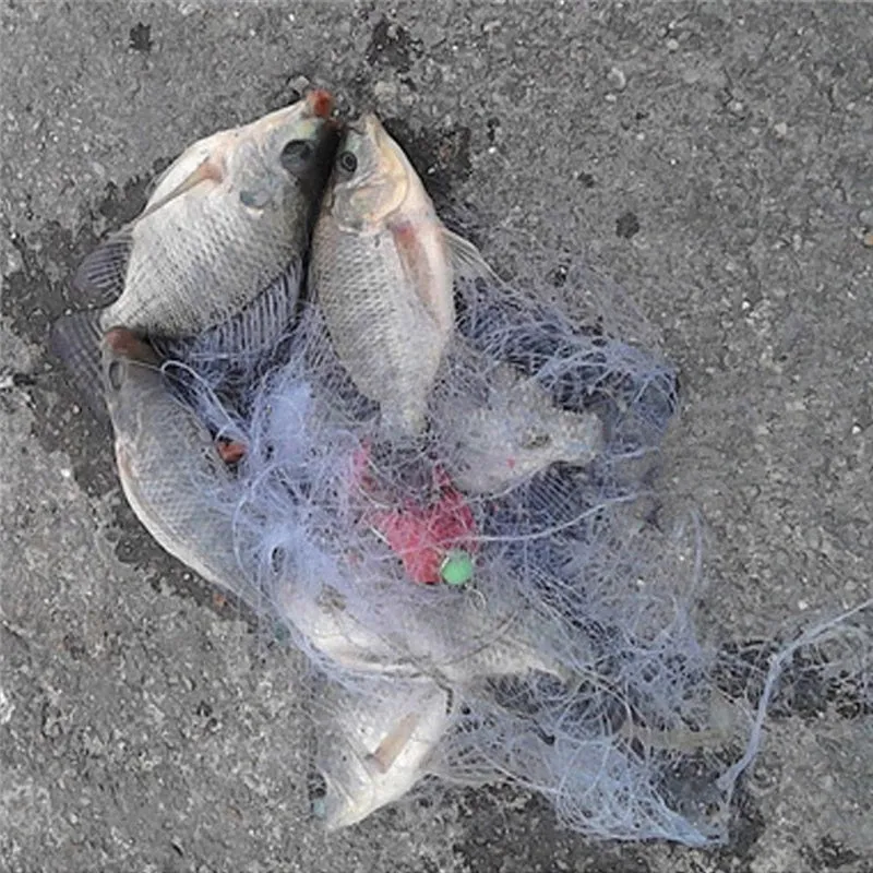 Copper Spring Shoal Fishing Net
