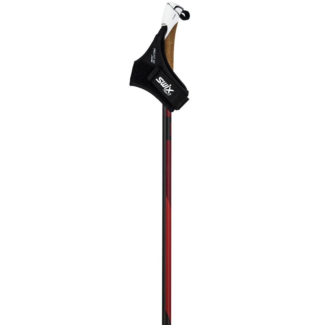DYNAMIC D1 POLE