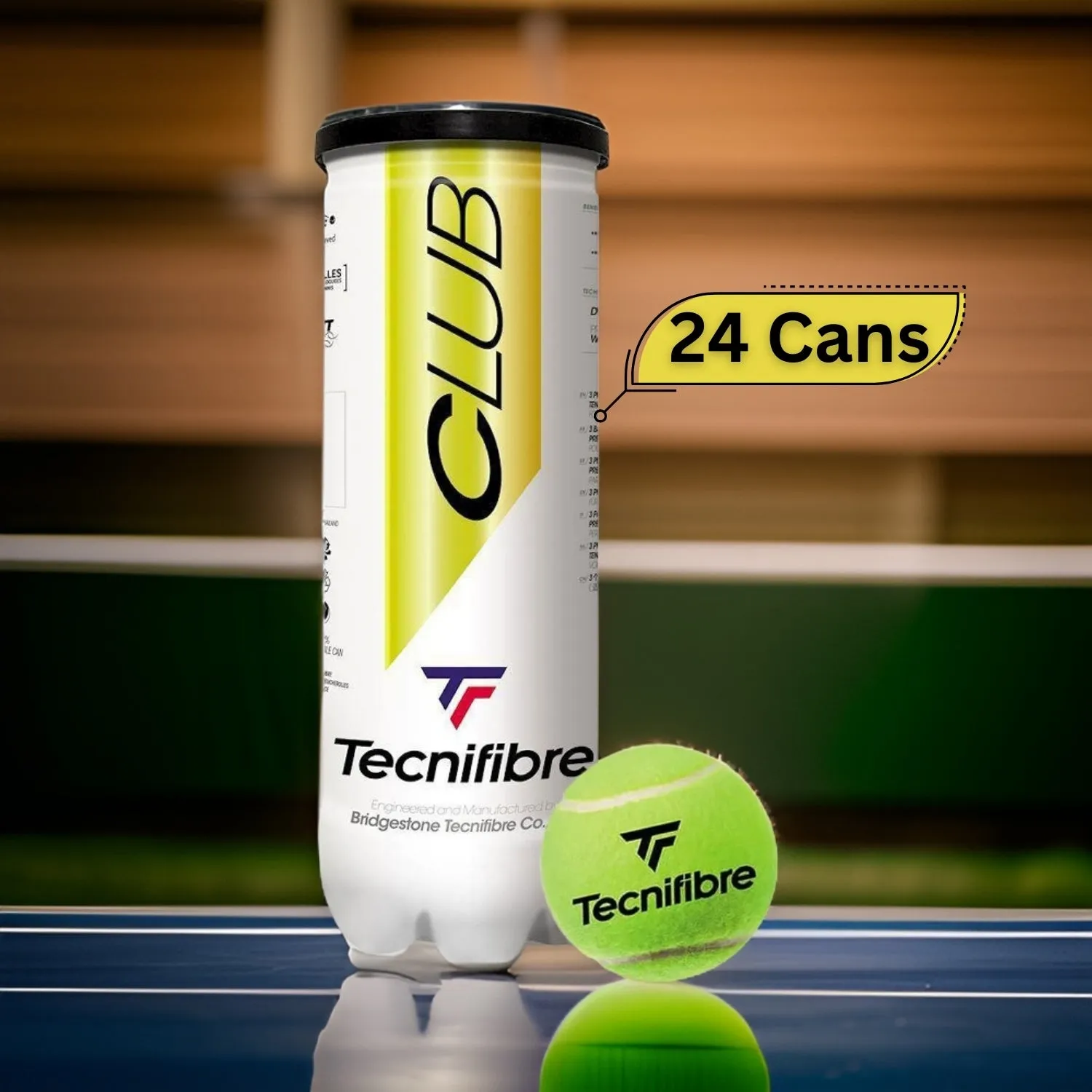 Tecnifibre Club Tennis Balls Carton (24 Cans)