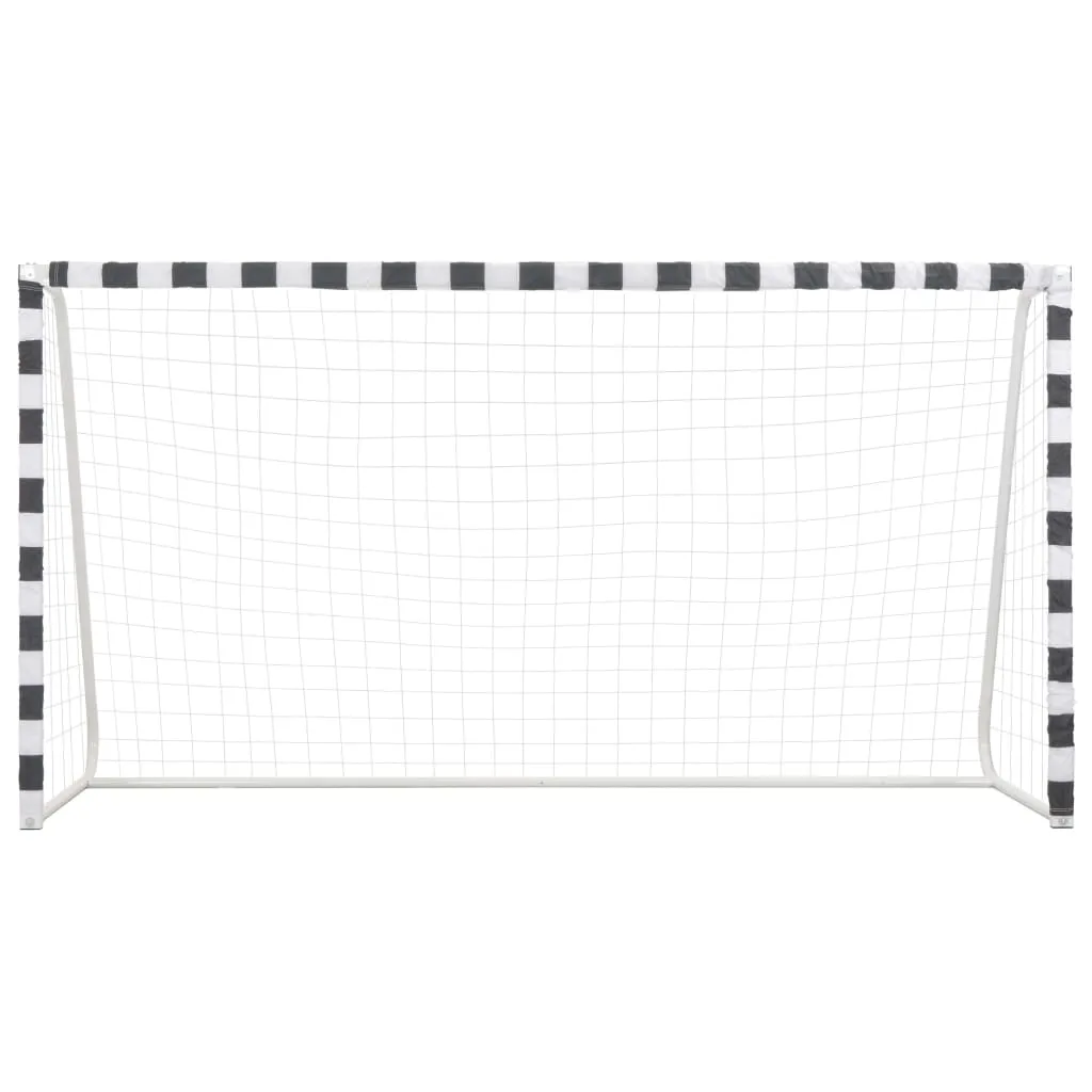 vidaXL Soccer Goal 300x160x90 cm Metal Black and White